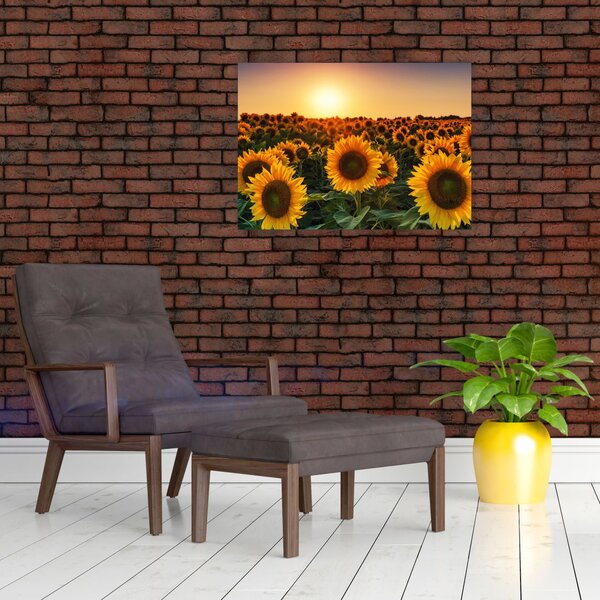 Slika - Suncokret (70x50 cm)