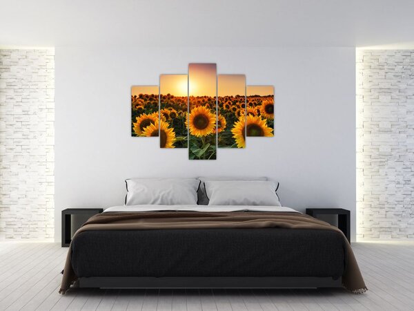 Slika - Suncokret (150x105 cm)