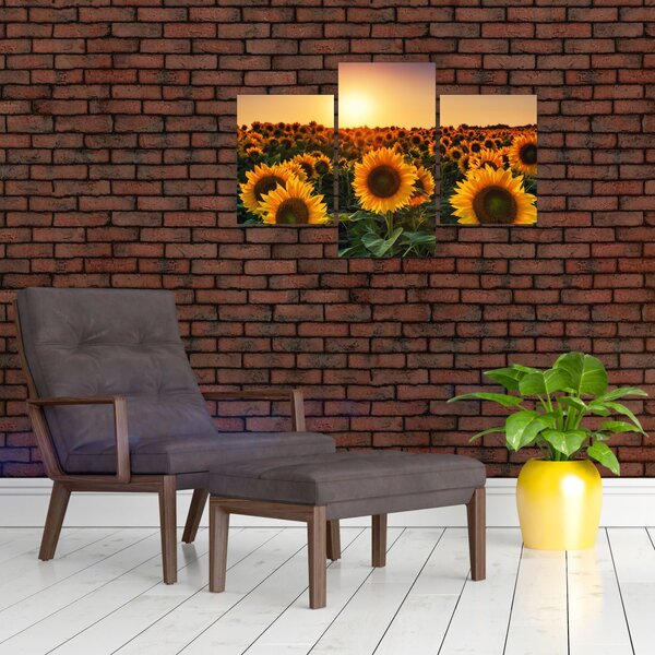Slika - Suncokret (90x60 cm)