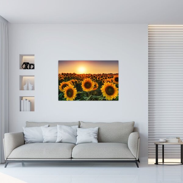 Slika - Suncokret (90x60 cm)