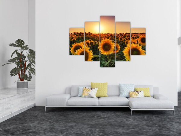 Slika - Suncokret (150x105 cm)