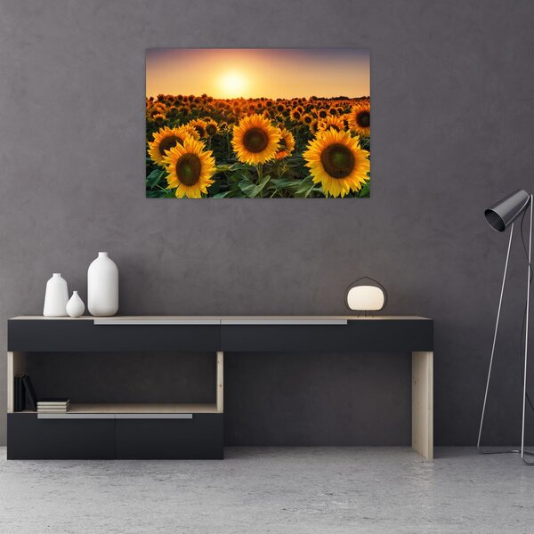 Slika - Suncokret (90x60 cm)