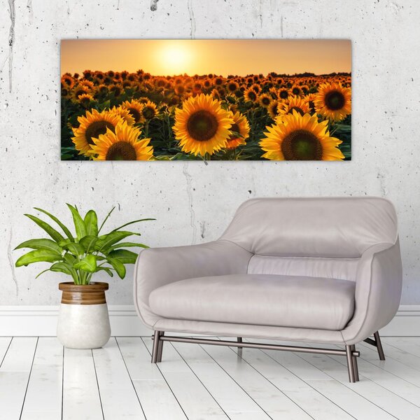 Slika - Suncokret (120x50 cm)