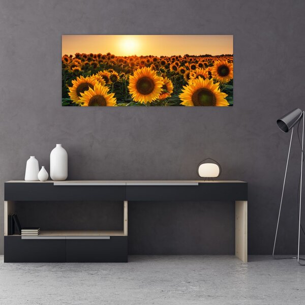 Slika - Suncokret (120x50 cm)