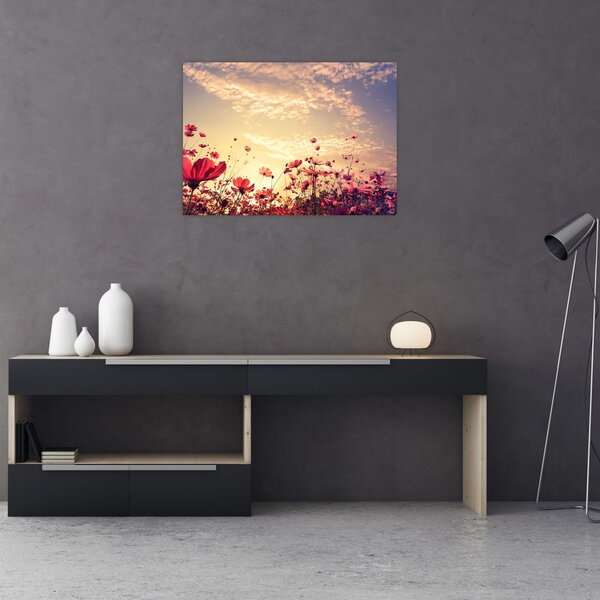 Slika - Livada s cvijećem (70x50 cm)