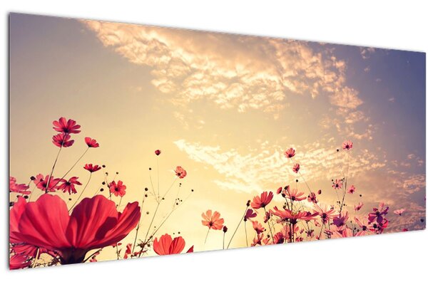 Slika - Livada s cvijećem (120x50 cm)