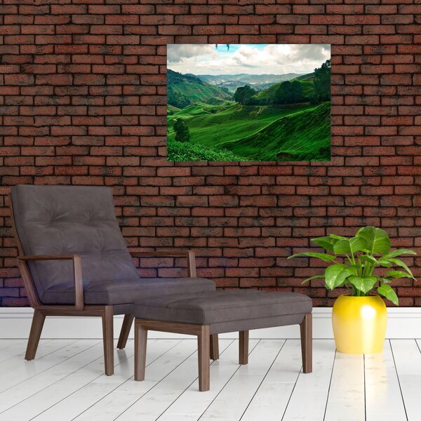 Slika - Plantaže čaja u Maleziji (70x50 cm)