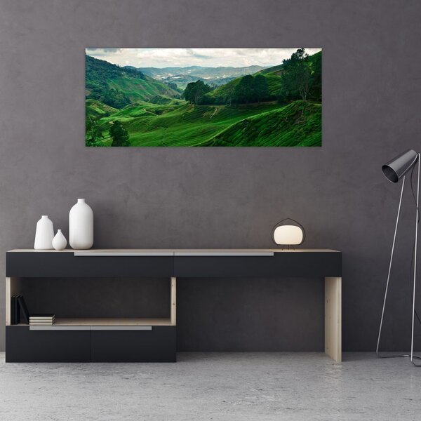 Slika - Plantaže čaja u Maleziji (120x50 cm)