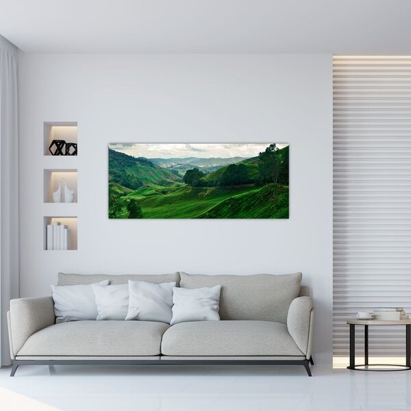 Slika - Plantaže čaja u Maleziji (120x50 cm)
