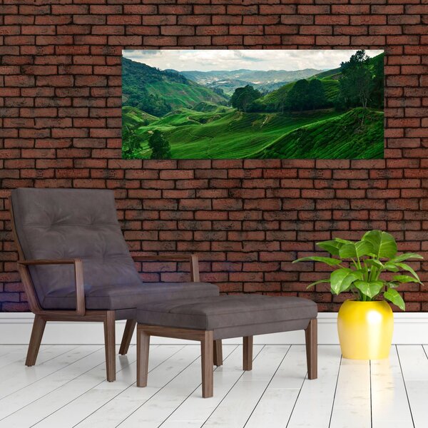 Slika - Plantaže čaja u Maleziji (120x50 cm)
