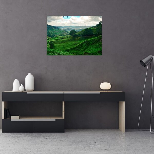 Slika - Plantaže čaja u Maleziji (70x50 cm)