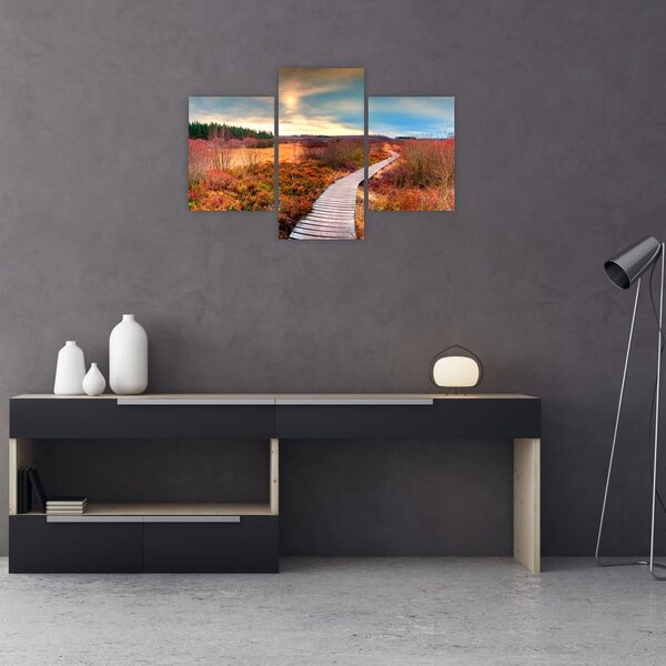 Slika - Jesenska cesta kroz krajolik (90x60 cm)