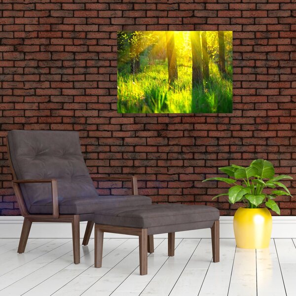 Slika - Proljetno buđenje šume (70x50 cm)
