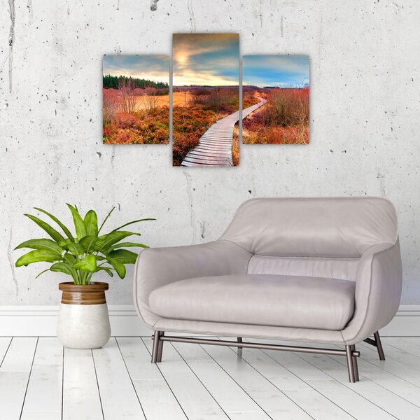 Slika - Jesenska cesta kroz krajolik (90x60 cm)