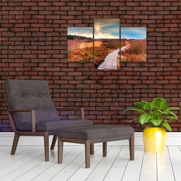 Slika - Jesenska cesta kroz krajolik (90x60 cm)