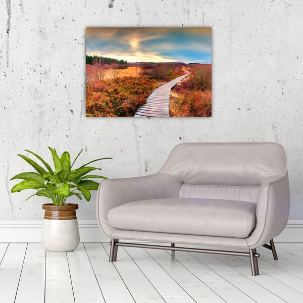 Slika - Jesenska cesta kroz krajolik (70x50 cm)