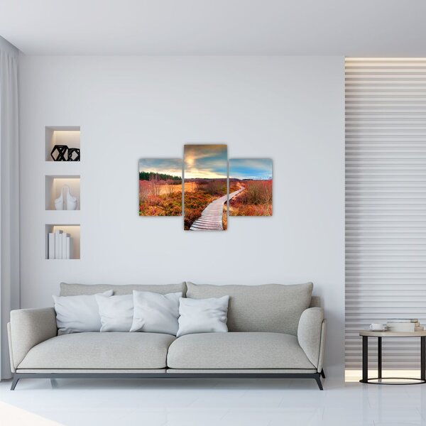 Slika - Jesenska cesta kroz krajolik (90x60 cm)