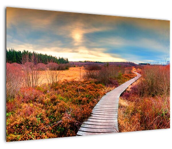 Slika - Jesenska cesta kroz krajolik (90x60 cm)
