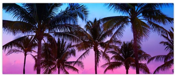 Slika - Palme u Miamiju (120x50 cm)