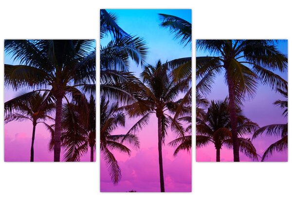 Slika - Palme u Miamiju (90x60 cm)