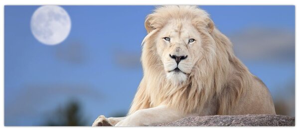 Slika - Bijeli lav (120x50 cm)