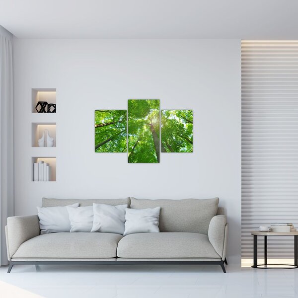 Slika - Šuma (90x60 cm)