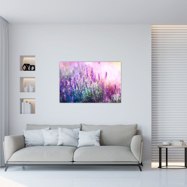 Slika - Lavanda u sjaju sunca (90x60 cm)