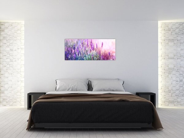 Slika - Lavanda u sjaju sunca (120x50 cm)