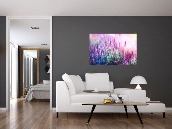 Slika - Lavanda u sjaju sunca (90x60 cm)