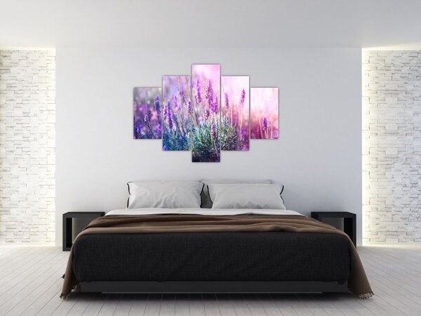 Slika - Lavanda u sjaju sunca (150x105 cm)