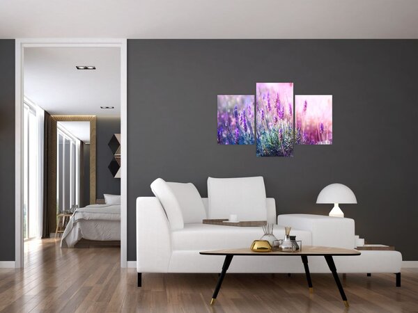 Slika - Lavanda u sjaju sunca (90x60 cm)