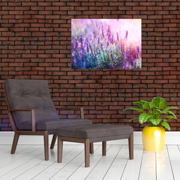 Slika - Lavanda u sjaju sunca (70x50 cm)