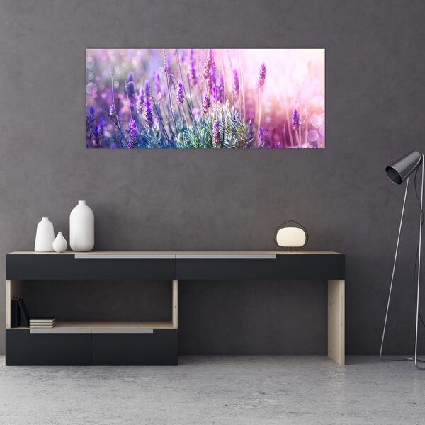 Slika - Lavanda u sjaju sunca (120x50 cm)