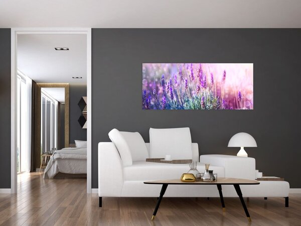 Slika - Lavanda u sjaju sunca (120x50 cm)