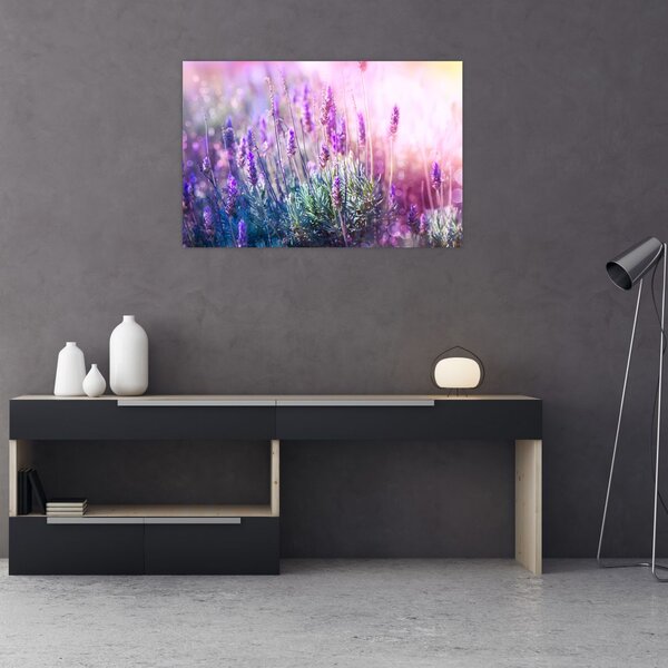 Slika - Lavanda u sjaju sunca (90x60 cm)