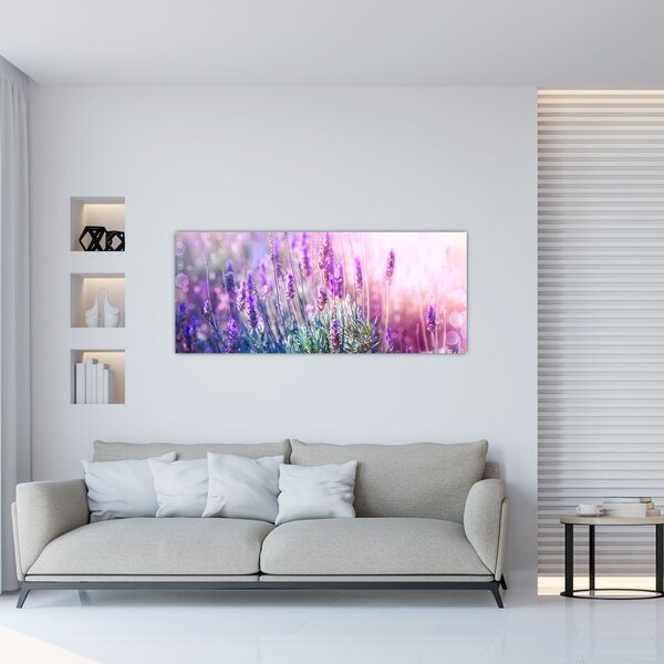Slika - Lavanda u sjaju sunca (120x50 cm)