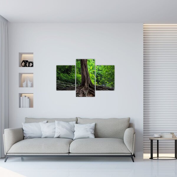 Slika - Staro drvo s korijenjem (90x60 cm)