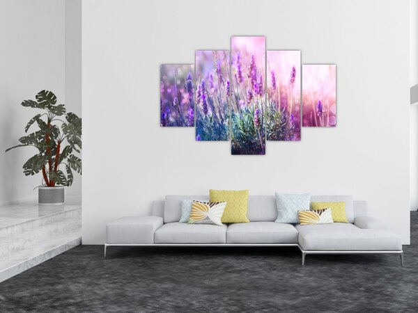 Slika - Lavanda u sjaju sunca (150x105 cm)