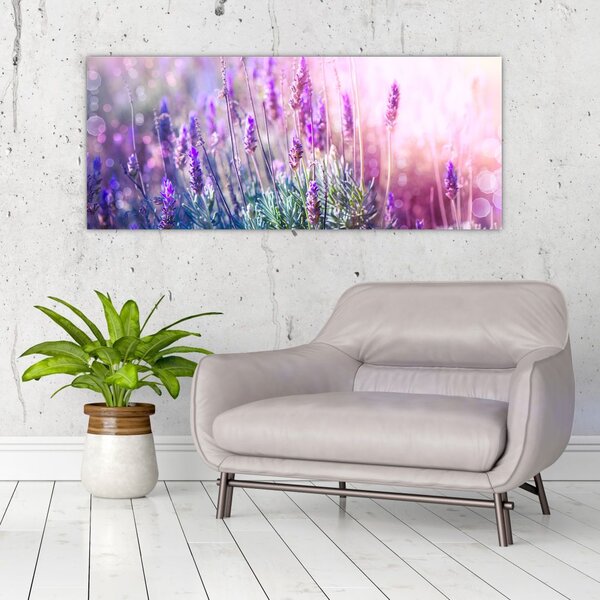 Slika - Lavanda u sjaju sunca (120x50 cm)