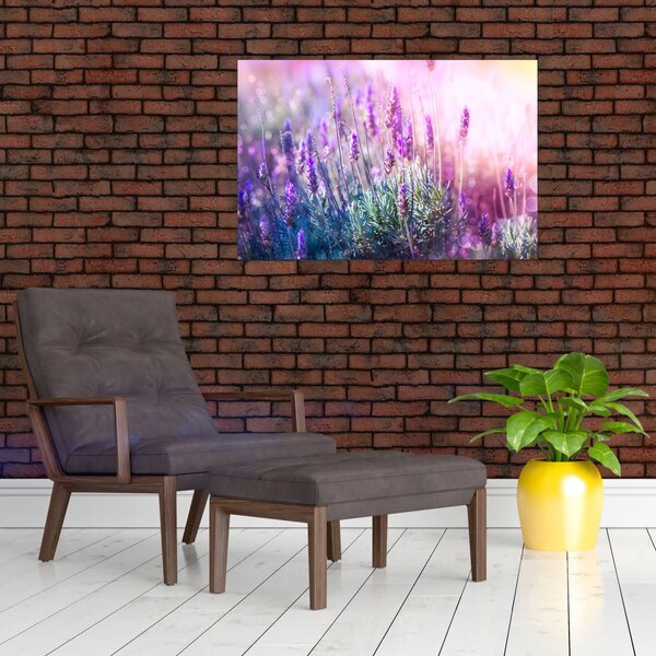 Slika - Lavanda u sjaju sunca (90x60 cm)