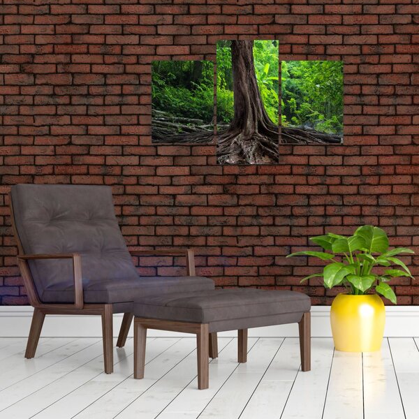 Slika - Staro drvo s korijenjem (90x60 cm)