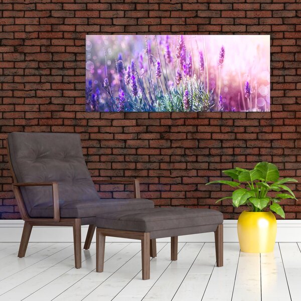 Slika - Lavanda u sjaju sunca (120x50 cm)