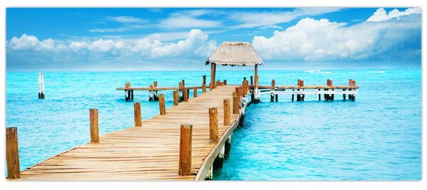 Slika - Mol (120x50 cm)