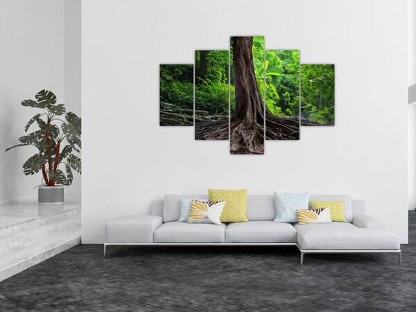 Slika - Staro drvo s korijenjem (150x105 cm)