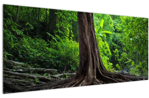 Slika - Staro drvo s korijenjem (120x50 cm)