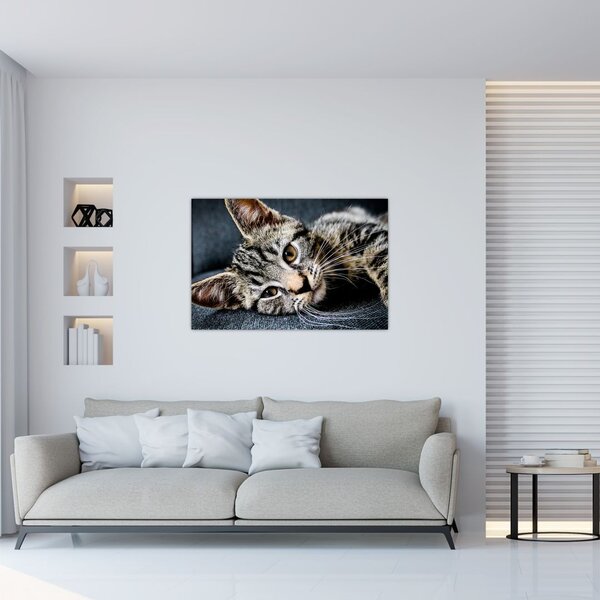 Slika - Mače (90x60 cm)