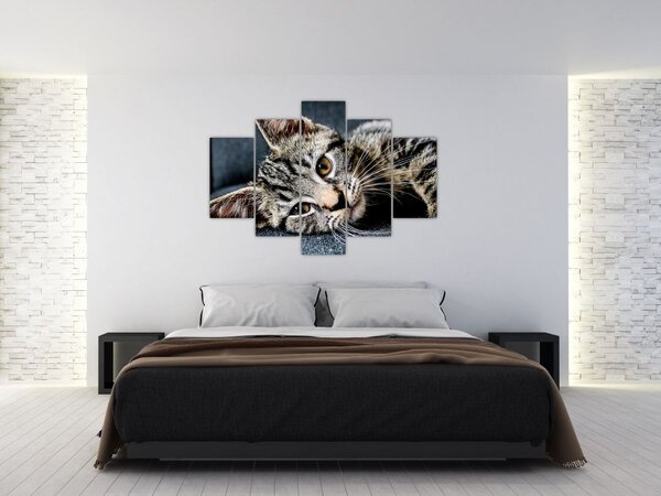 Slika - Mače (150x105 cm)