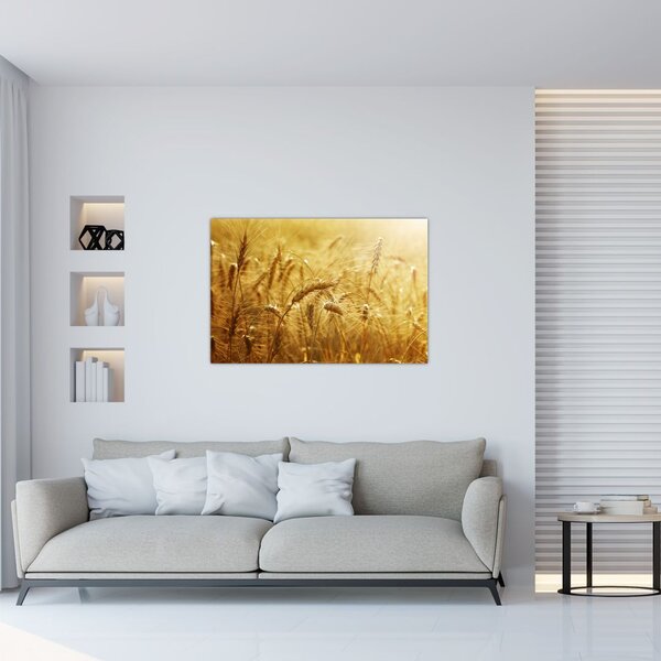 Slika - Klasovi žita (90x60 cm)