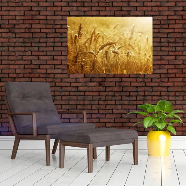 Slika - Klasovi žita (90x60 cm)