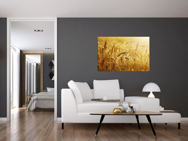 Slika - Klasovi žita (90x60 cm)